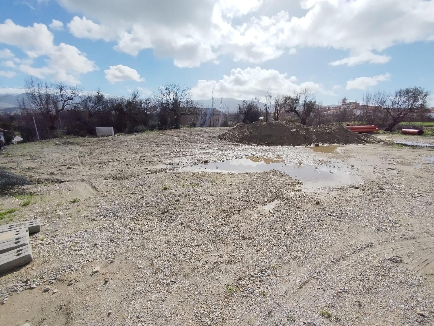 kaufen Grundstück Otura Vega De Granada 7