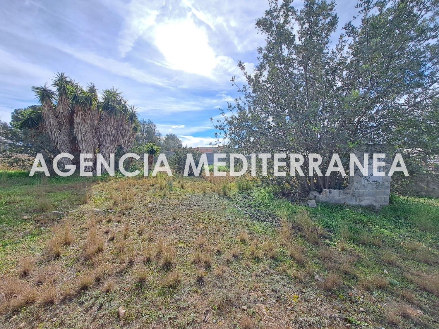  for sale plot Paterna Del Madera Sierra Del Segura 7