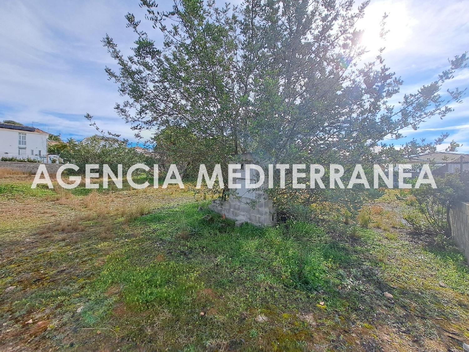  for sale plot Paterna Del Madera Sierra Del Segura 6
