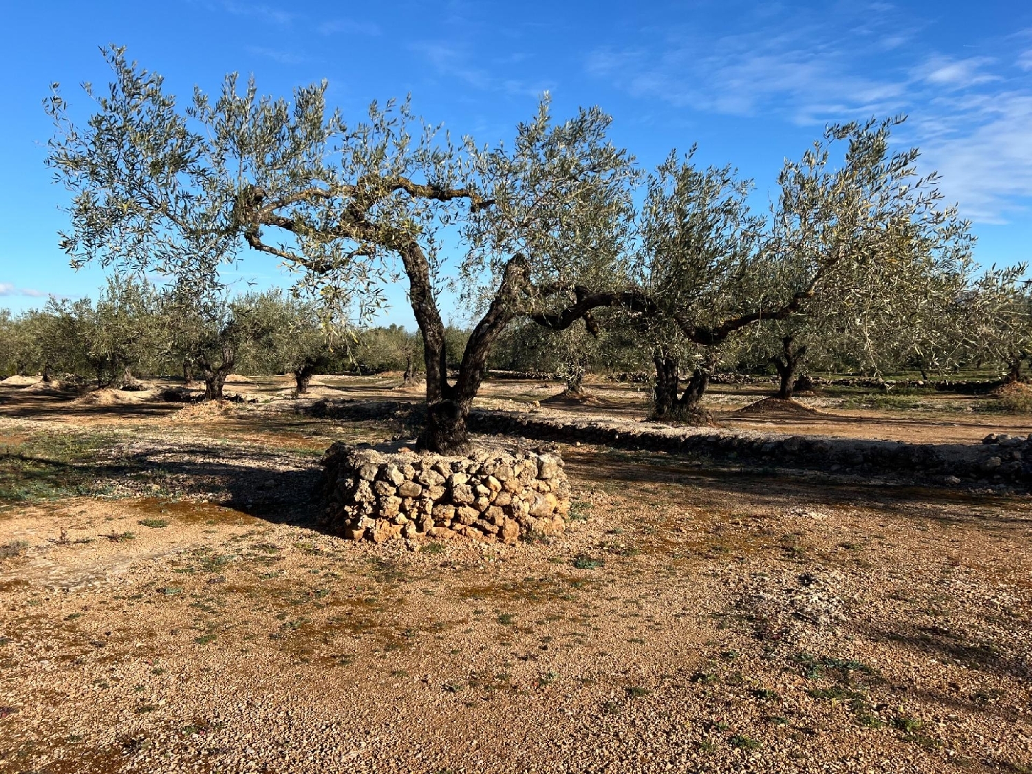  te koop perceel Perelló Gironès 7