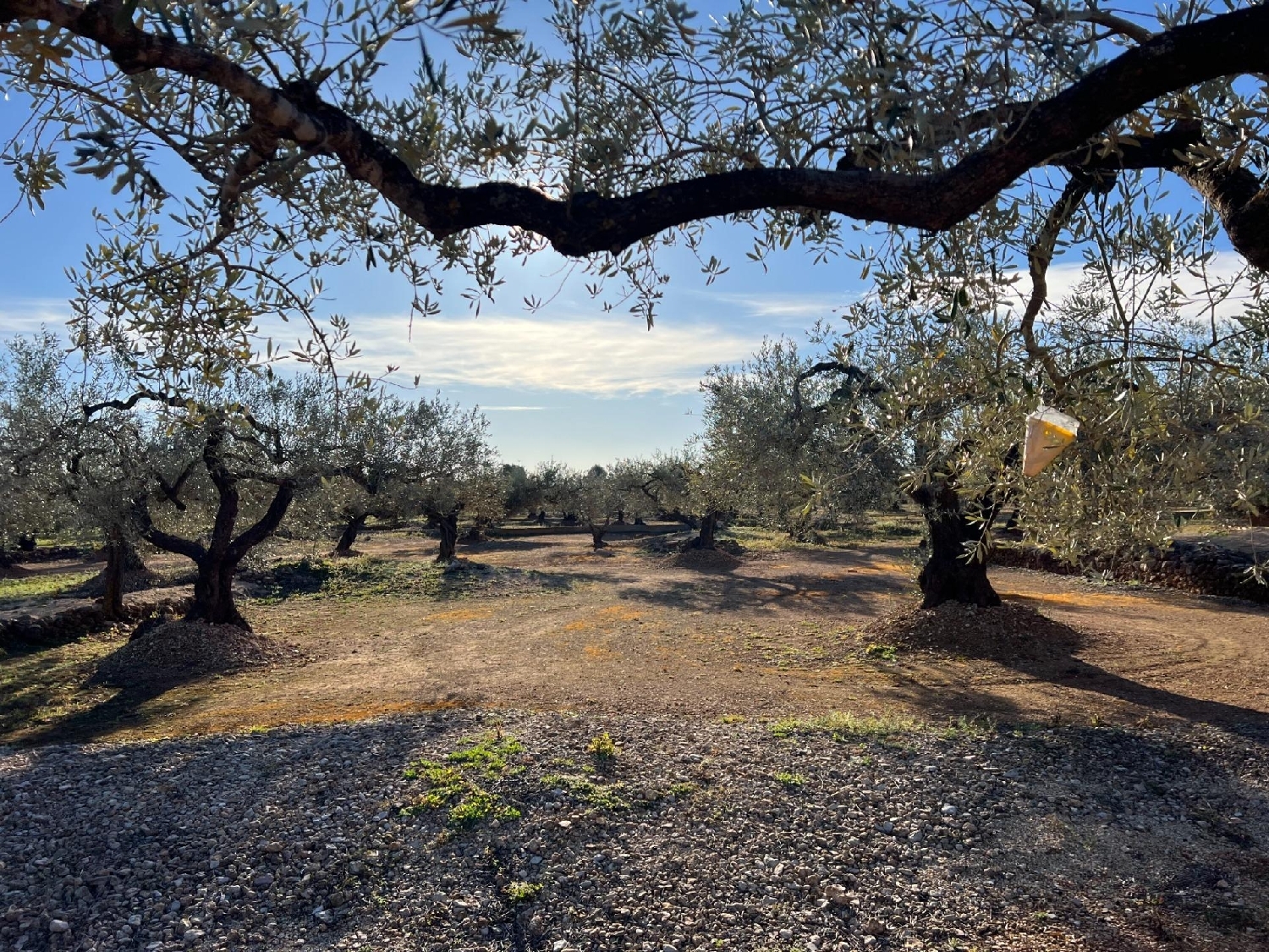  te koop perceel Perelló Gironès 6