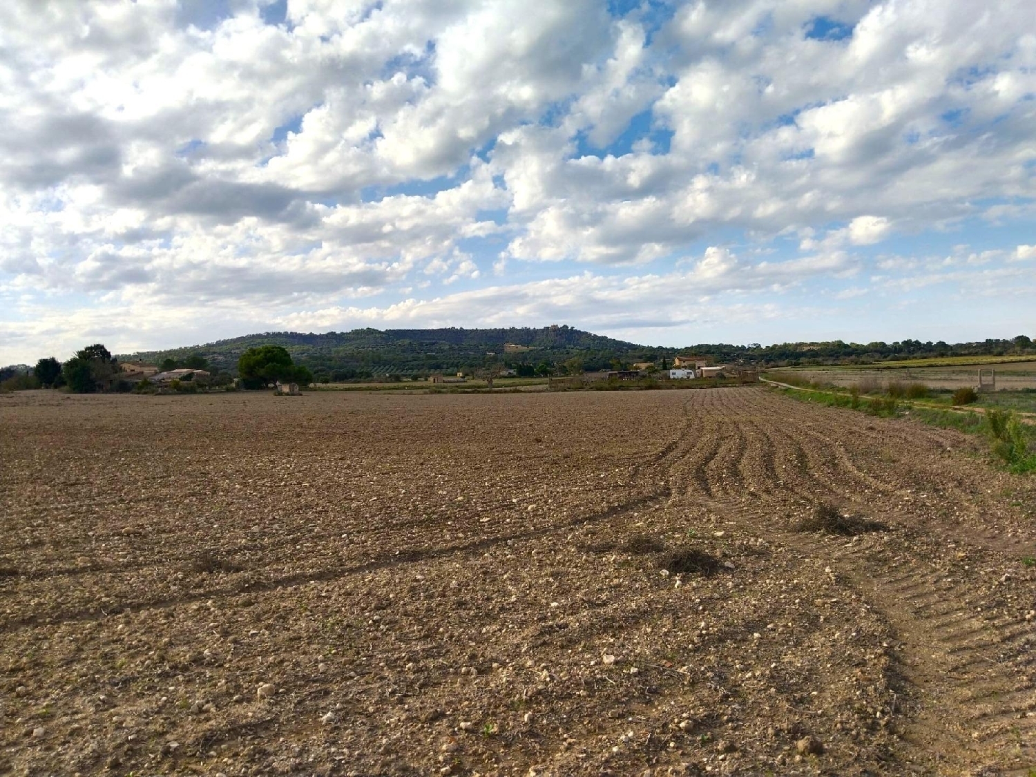  te koop perceel Petra Pla (Es) 1