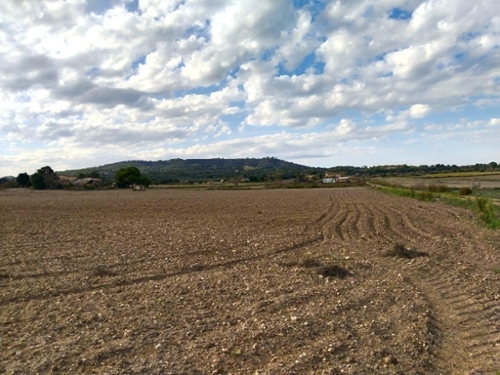 Petra Pla (Es) perceel foto 6344770