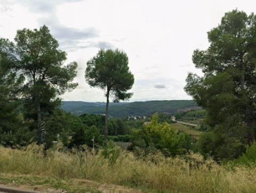 Piera Anoia plot foto 6346239