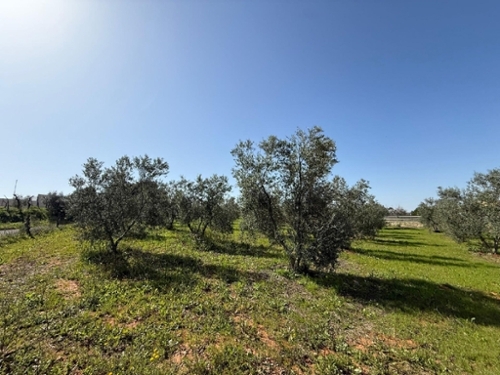 Pilas Asón-Agüera plot foto 6352919