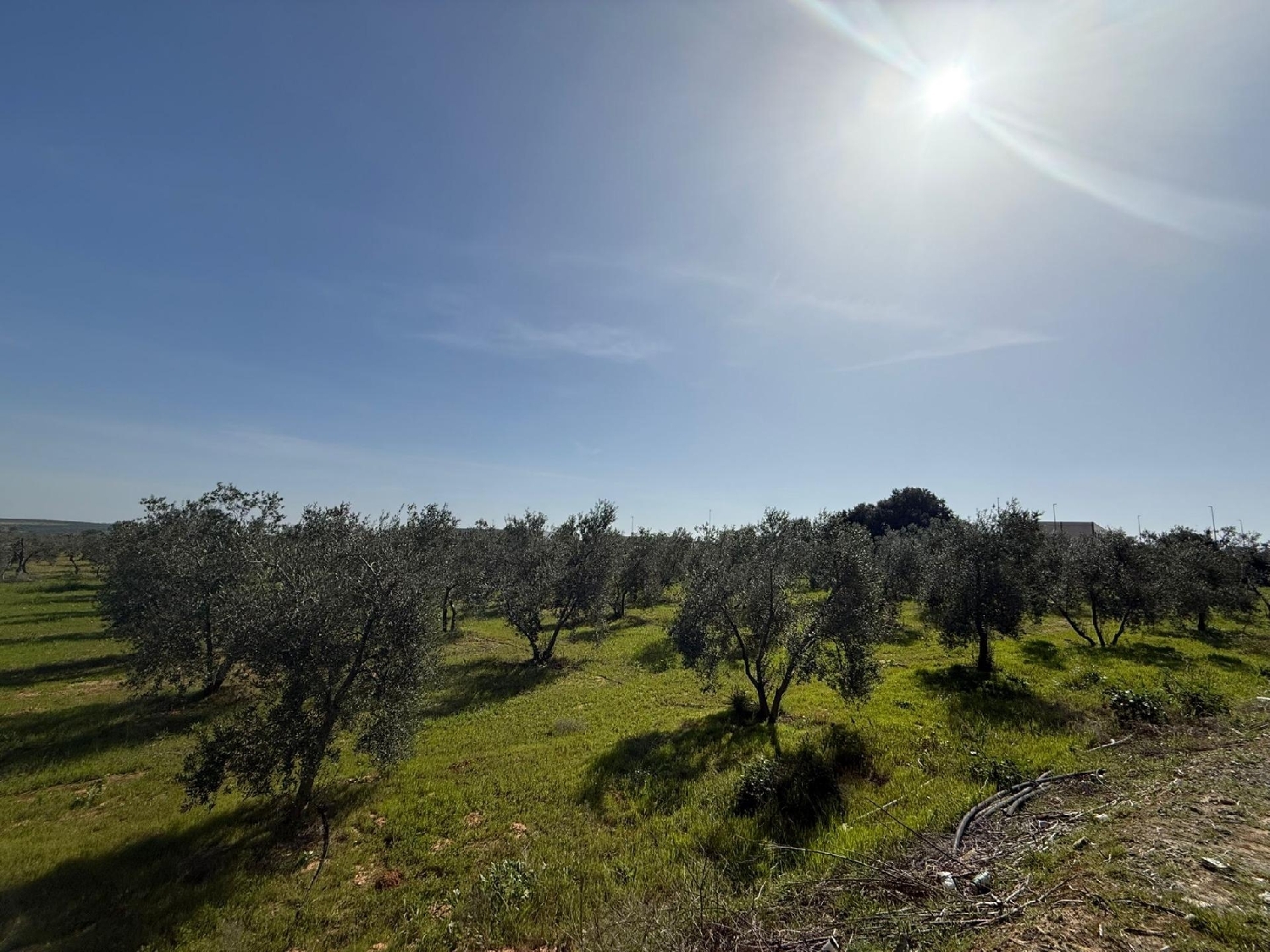 for sale plot Pilas Asón-Agüera 4