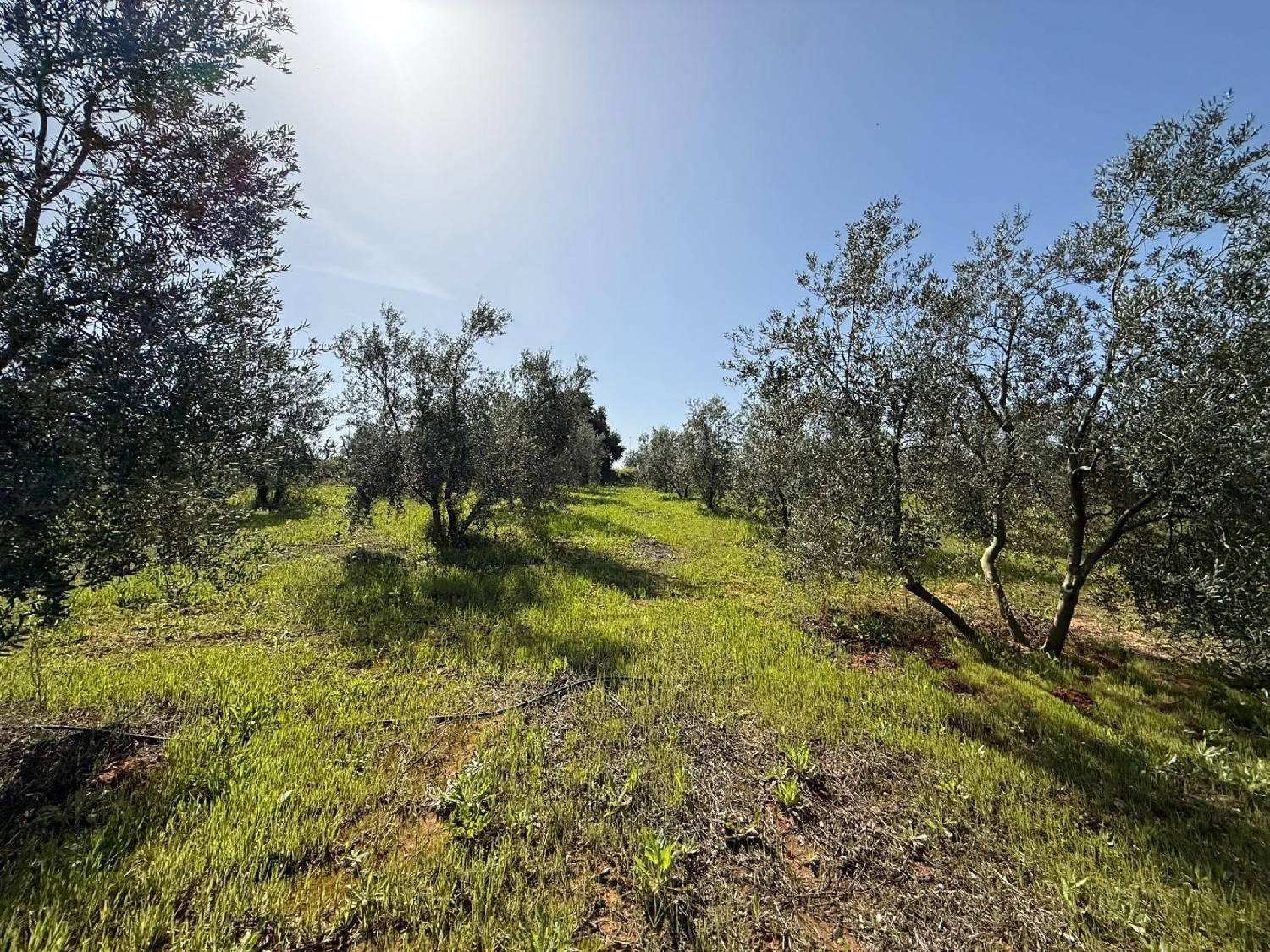 for sale plot Pilas Asón-Agüera 3