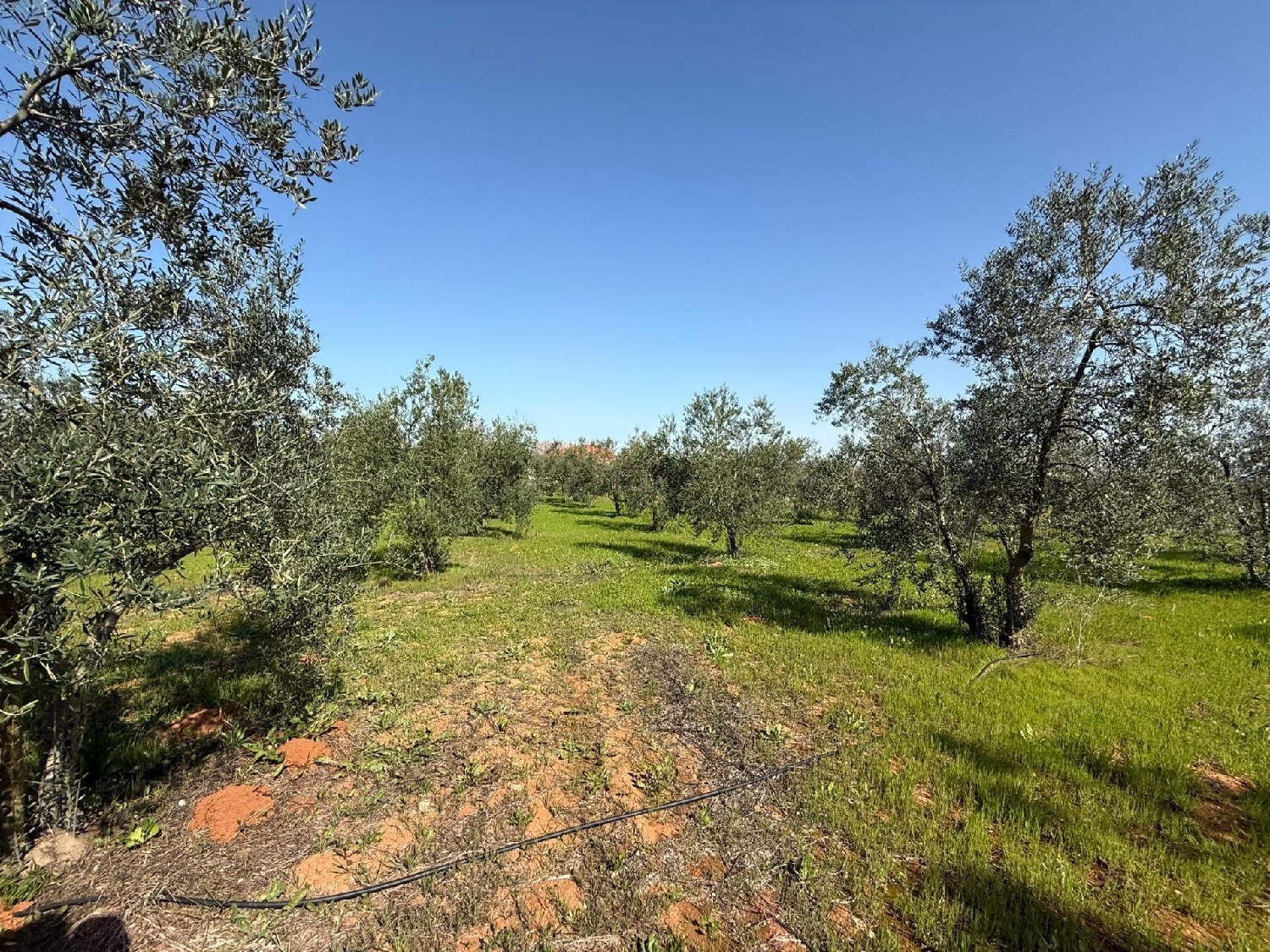 for sale plot Pilas Asón-Agüera 2