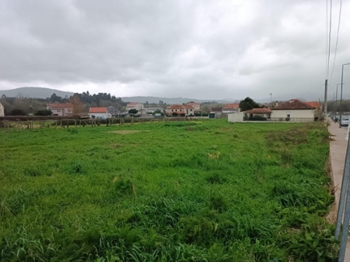 Pontecesures Caldas tomt foto 6346945