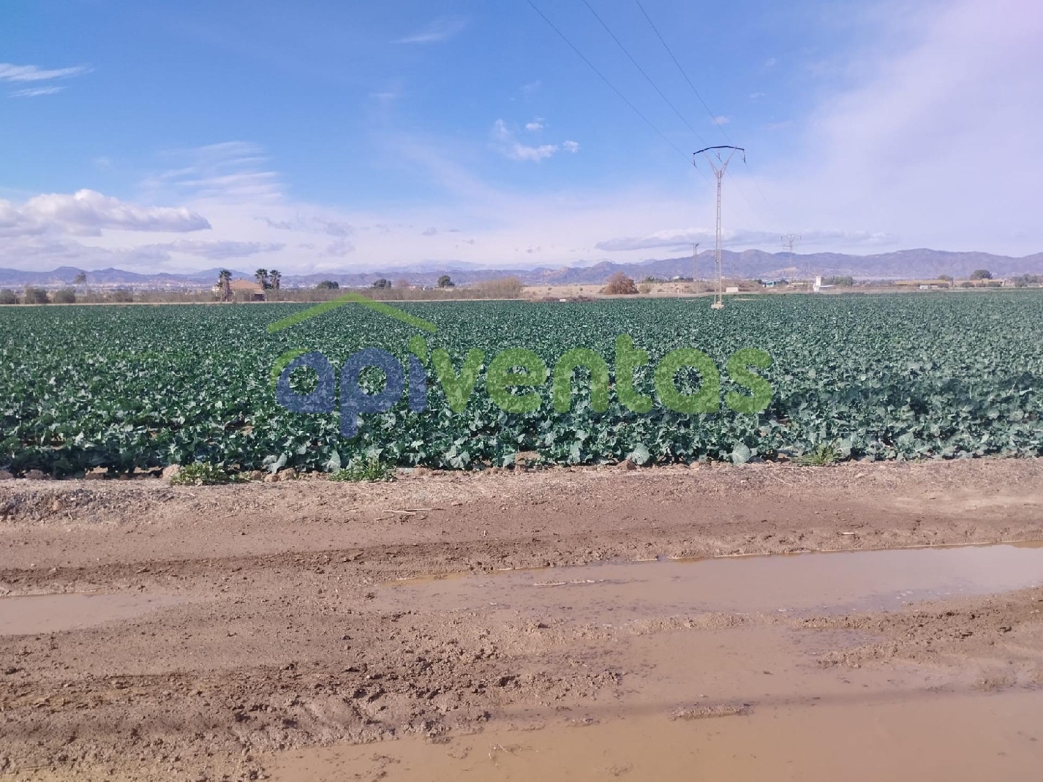  kaufen Grundstück Porcariza Arzúa 2