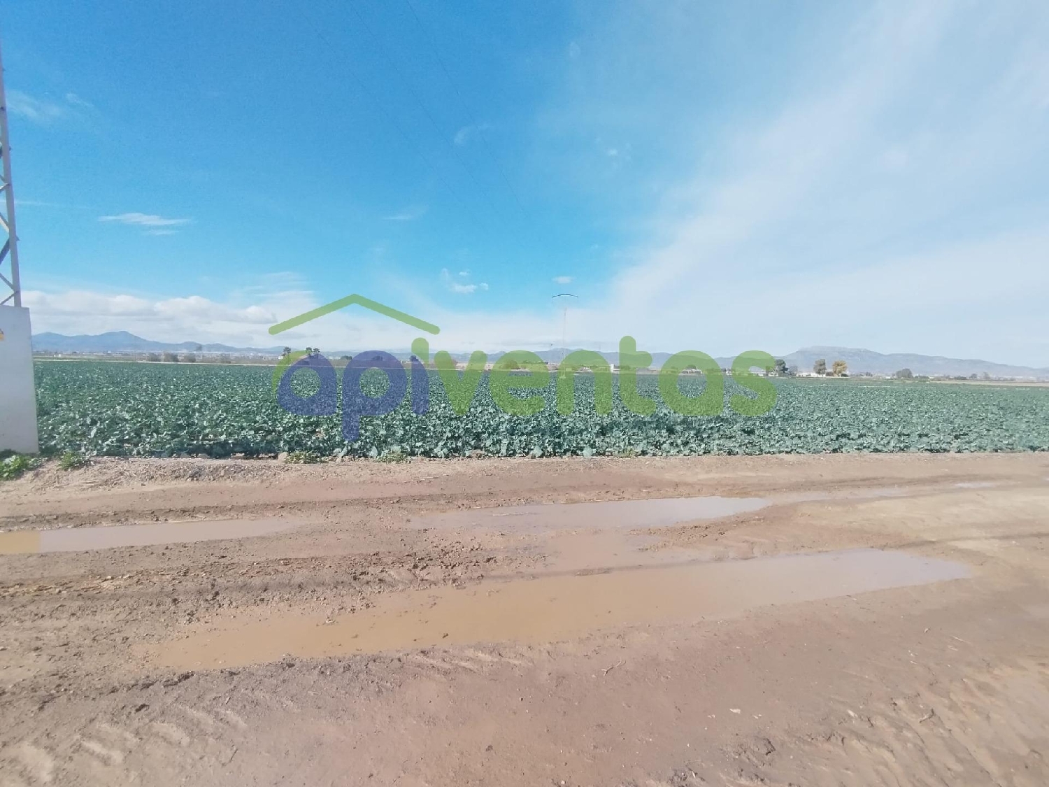  kaufen Grundstück Porcariza Arzúa 7