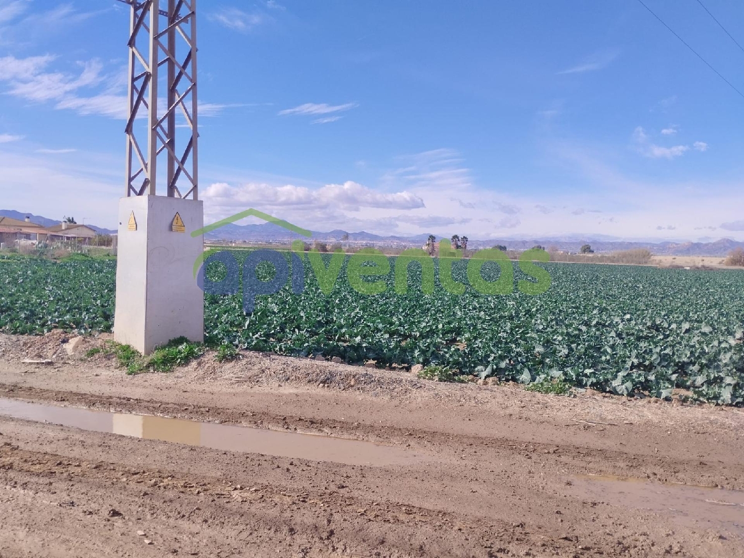  kaufen Grundstück Porcariza Arzúa 4