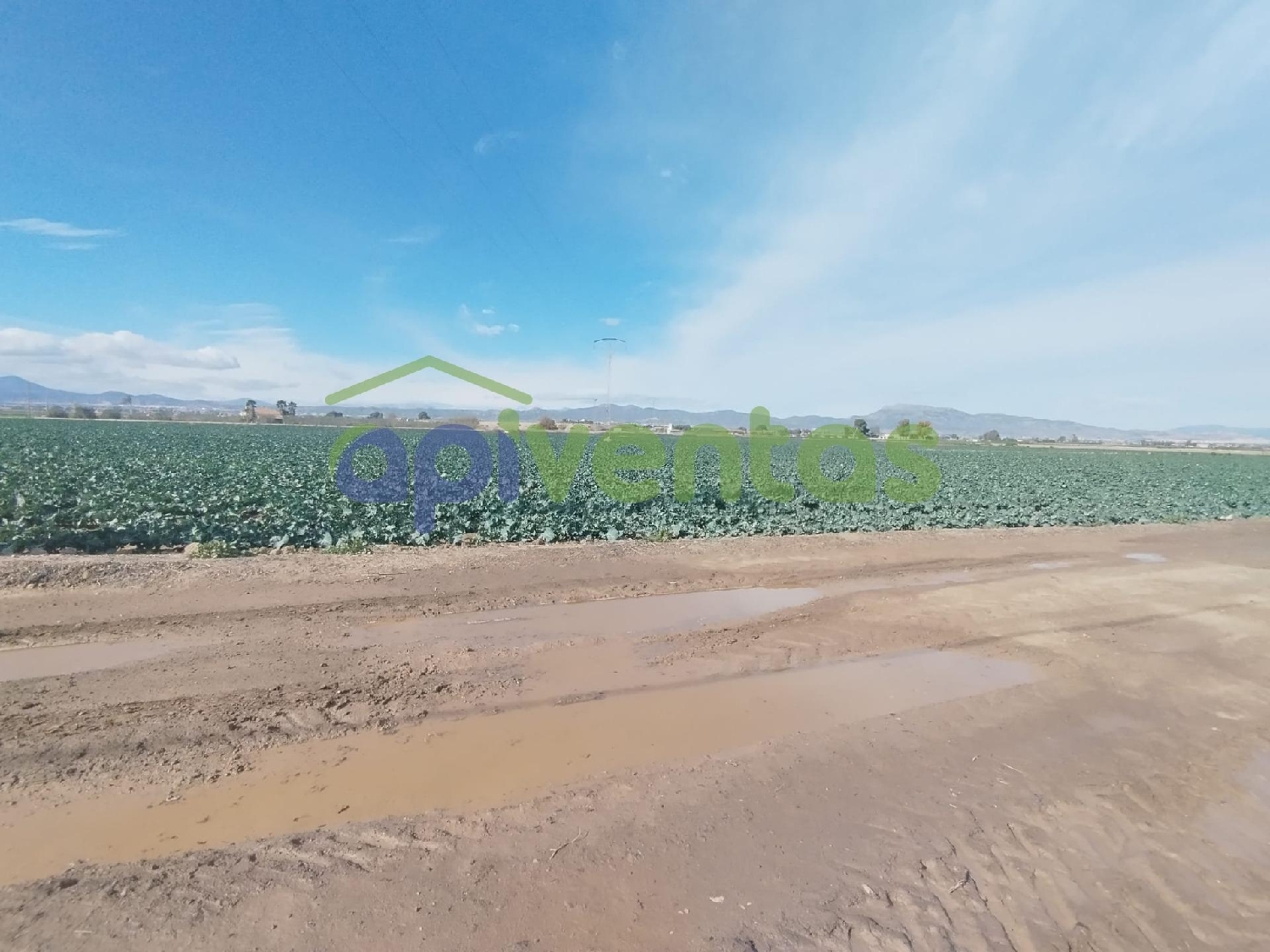  kaufen Grundstück Porcariza Arzúa 6