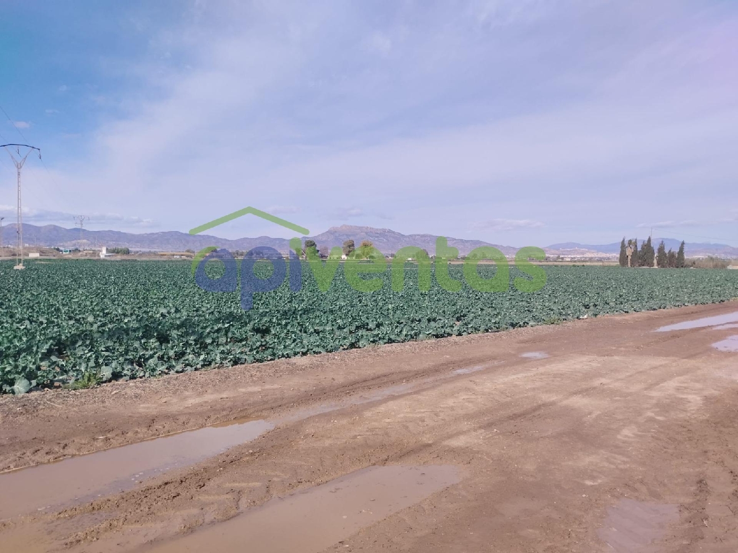  kaufen Grundstück Porcariza Arzúa 1