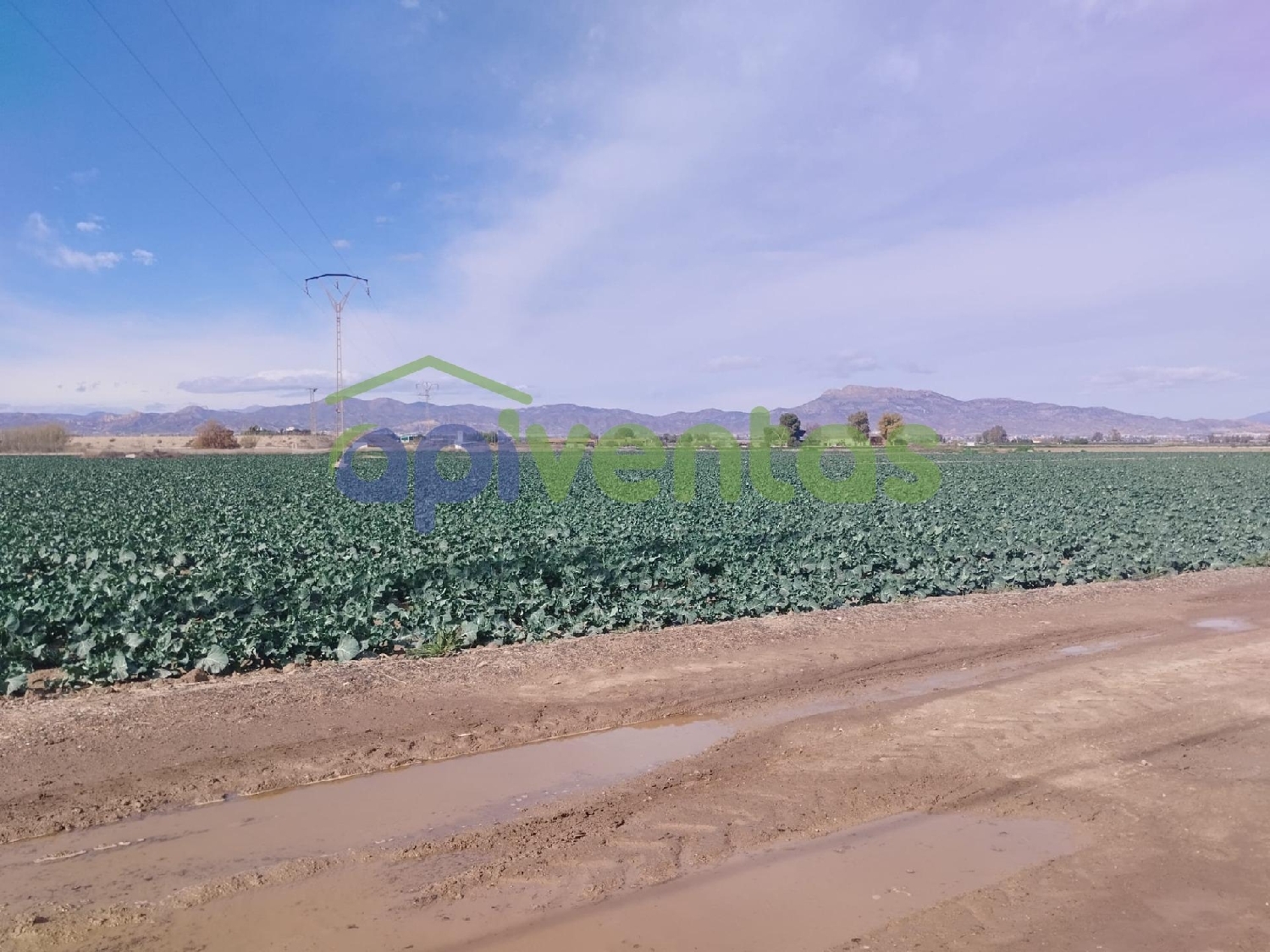  kaufen Grundstück Porcariza Arzúa 3