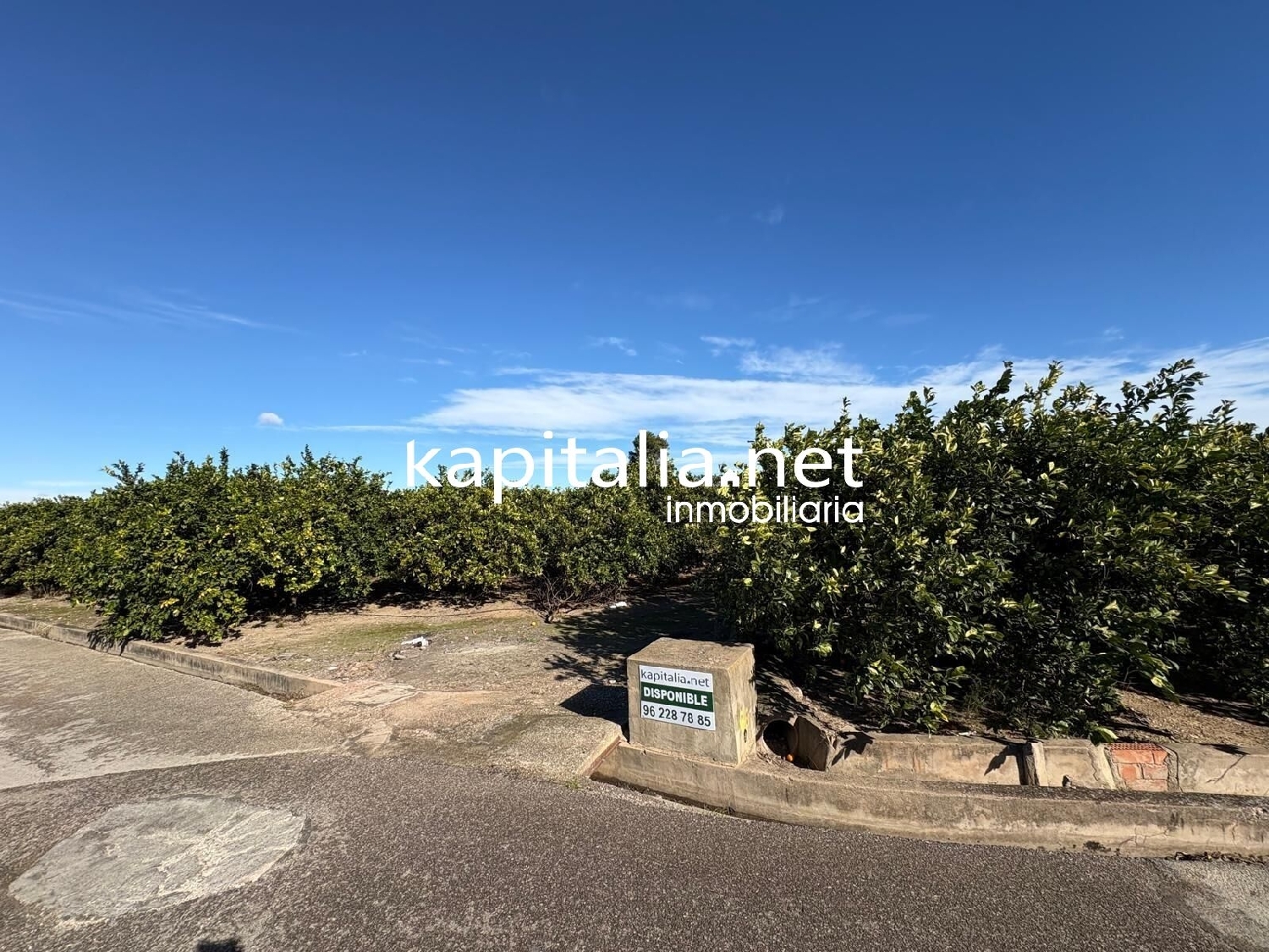  te koop perceel Rotglà I Corberà Costera (La) 2