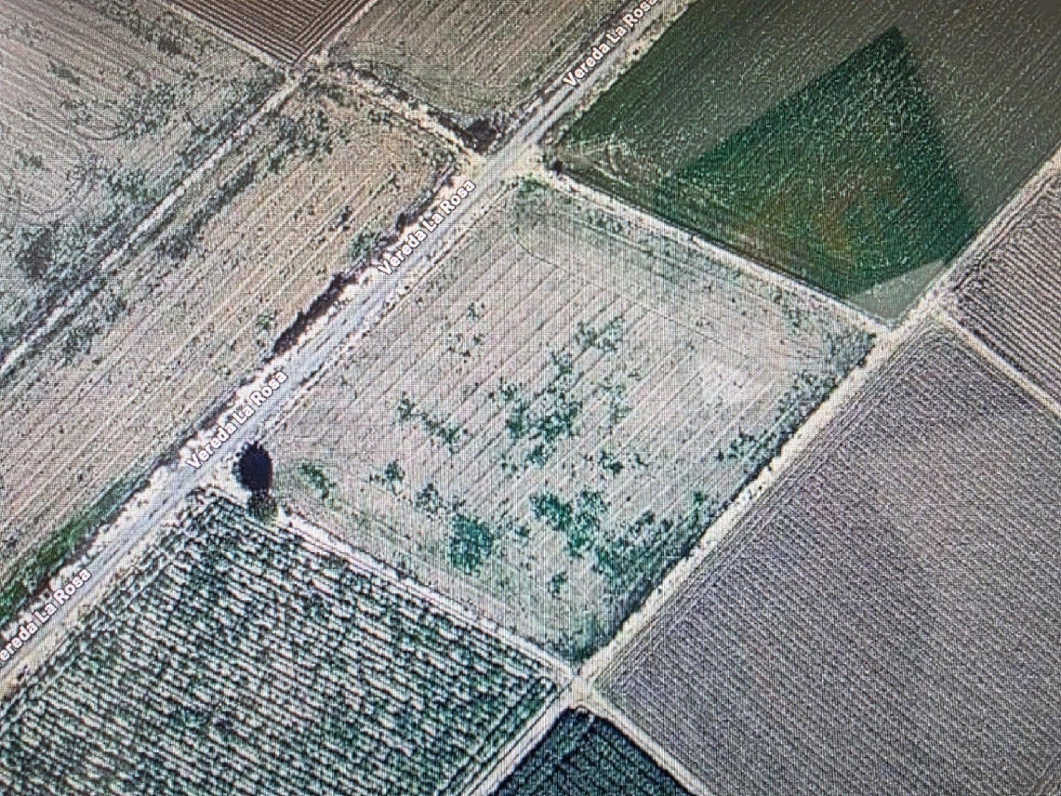  for sale plot San Fulgencio Baix Segura 2