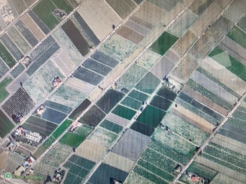 San Fulgencio Baix Segura plot foto 6351800