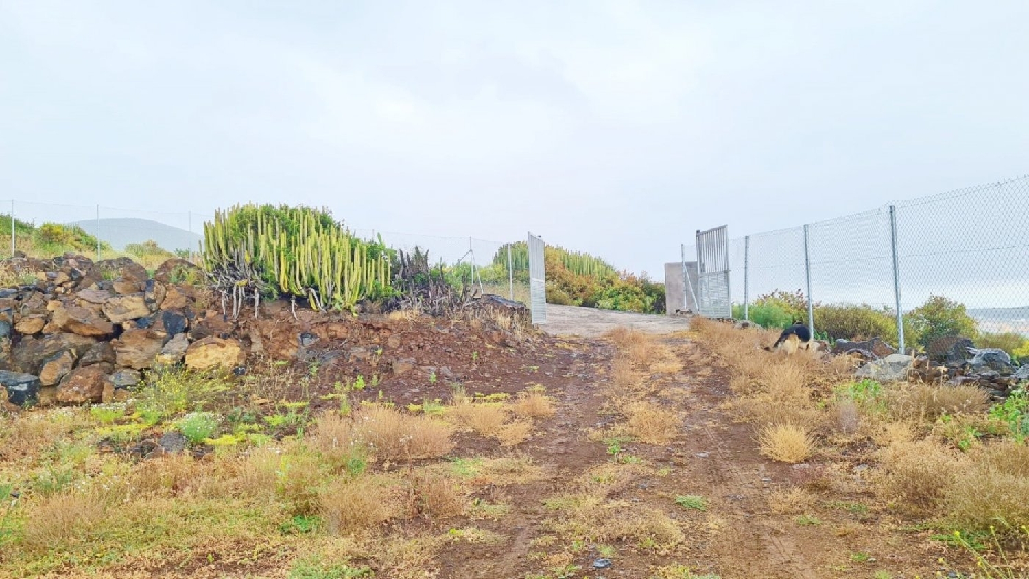  till salu tomt San Miguel De Abona Zona Sur 1