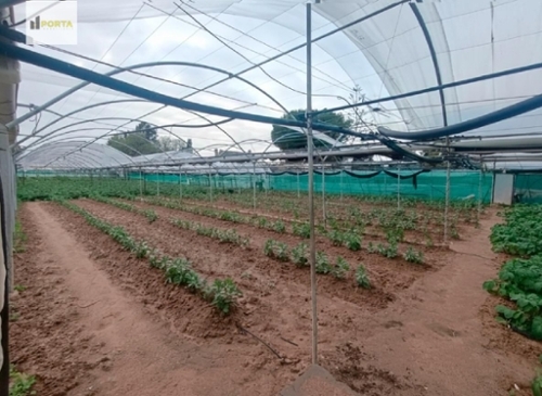 Sanlúcar De Barrameda Costa Noroeste terreno foto 6351725