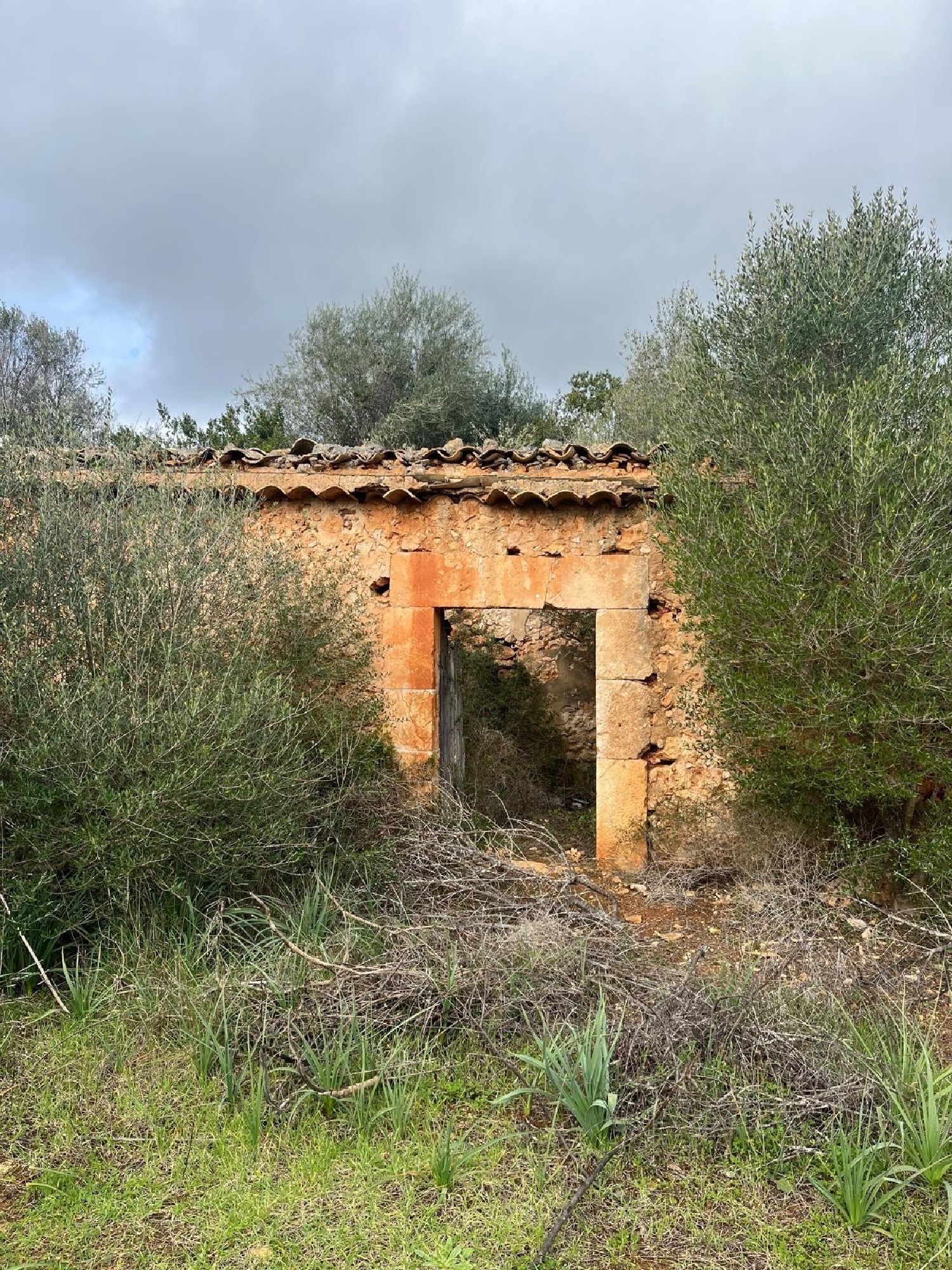  till salu tomt Sencelles Pla (Es) 2