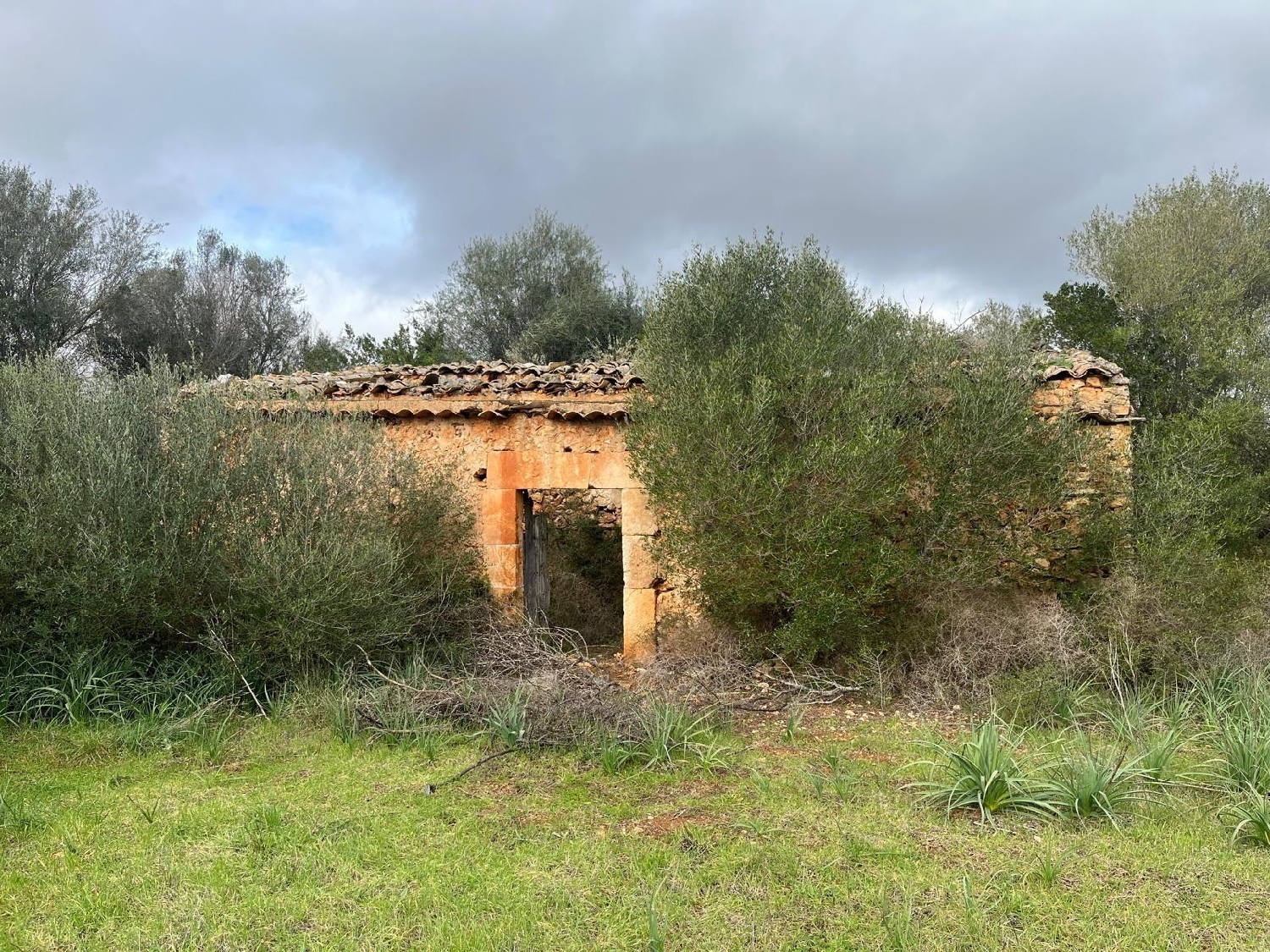  till salu tomt Sencelles Pla (Es) 1