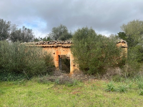 Sencelles Pla (Es) tomt foto 6350700