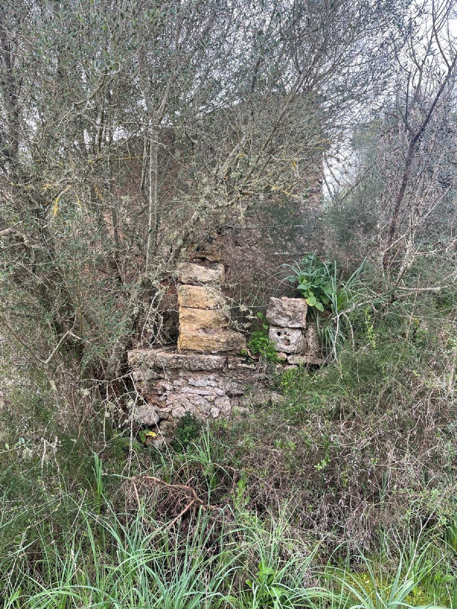  till salu tomt Sencelles Pla (Es) 8