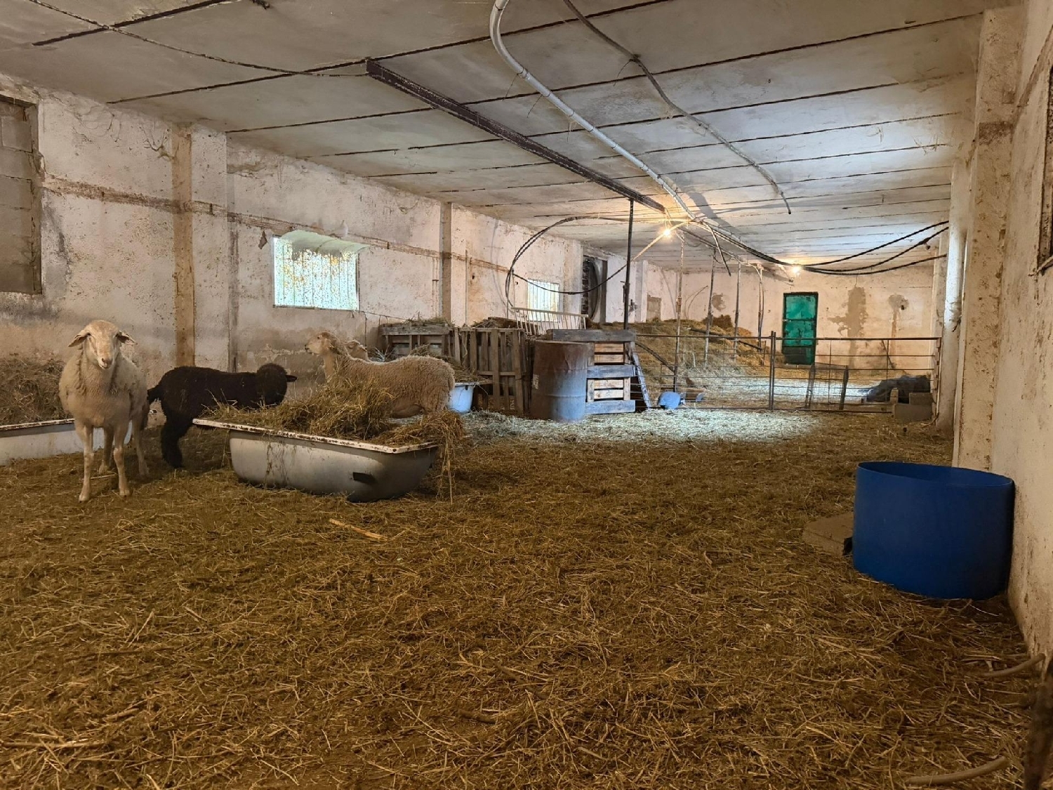  for sale plot Ventas De Huelma Alhama 6