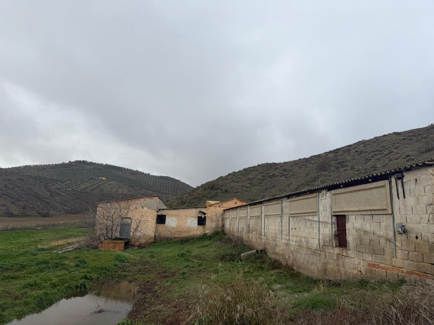  for sale plot Ventas De Huelma Alhama 4