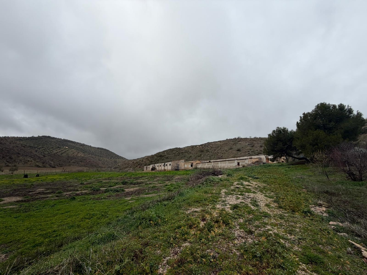  for sale plot Ventas De Huelma Alhama 2