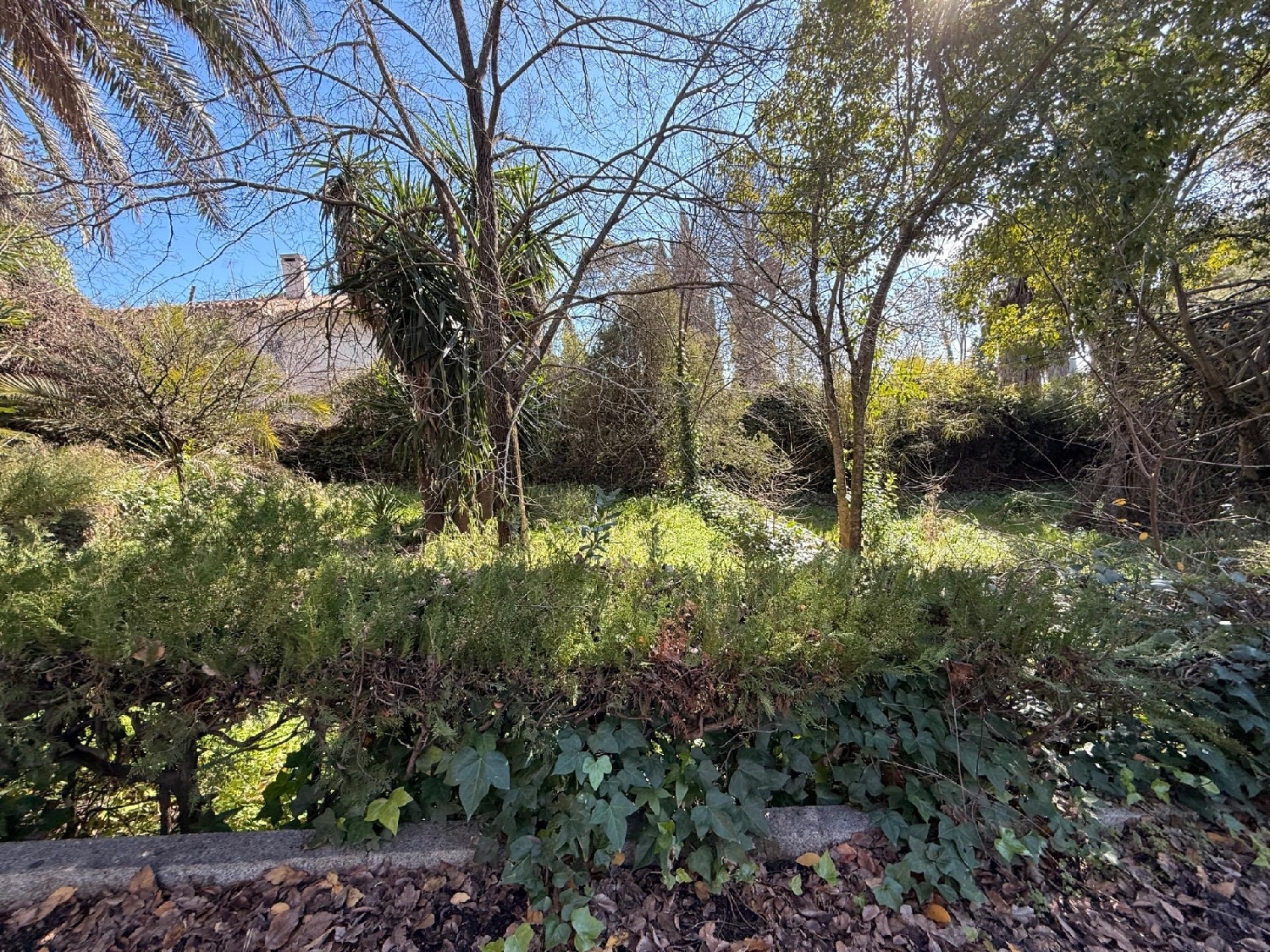  kaufen Grundstück Villafranca De Córdoba Alto Guadalquivir 4