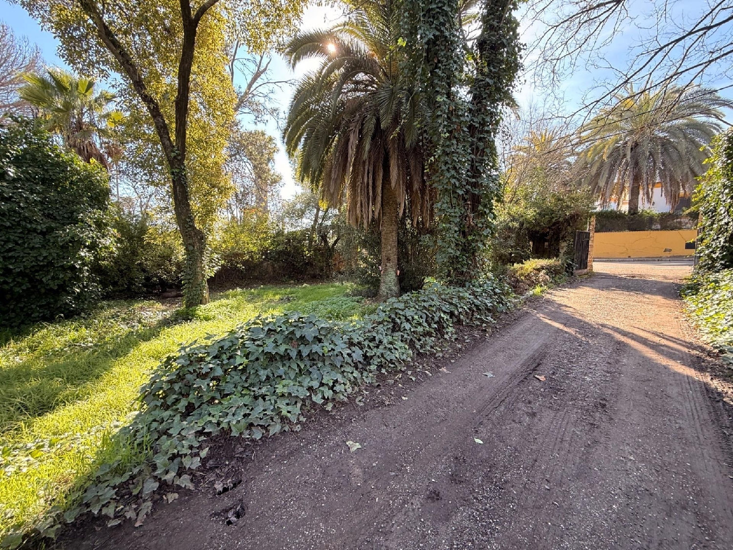  kaufen Grundstück Villafranca De Córdoba Alto Guadalquivir 1