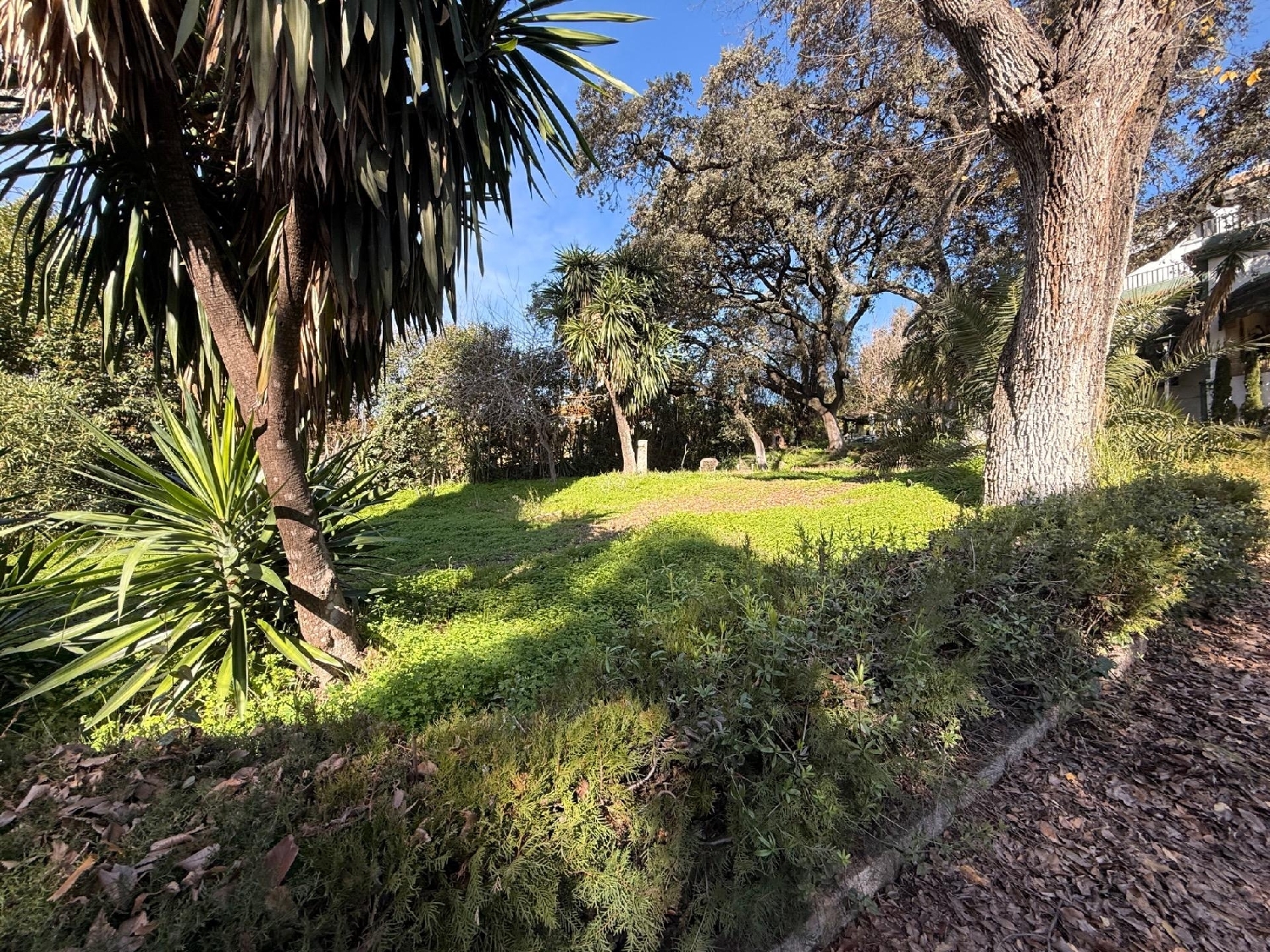  kaufen Grundstück Villafranca De Córdoba Alto Guadalquivir 7