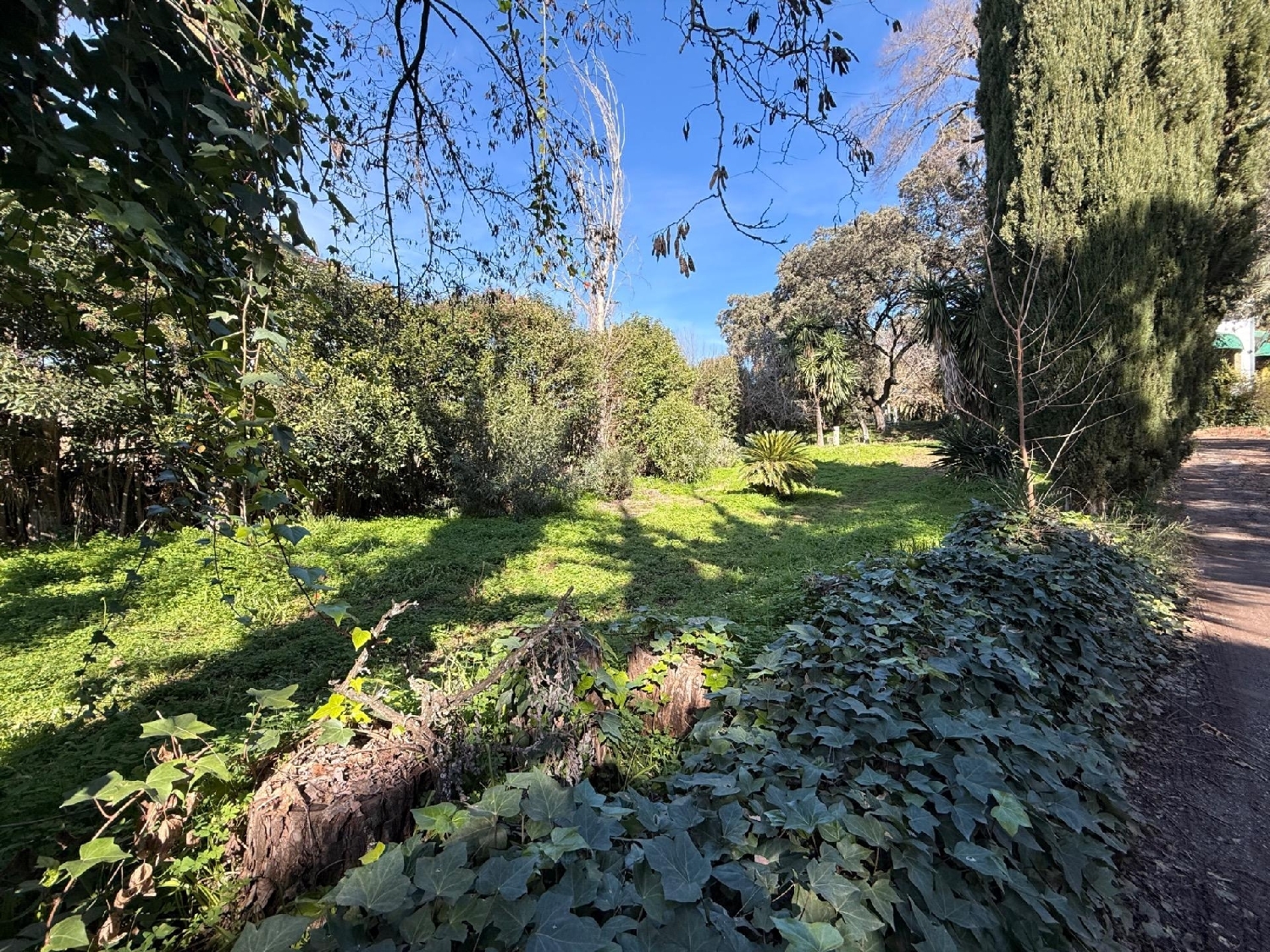  kaufen Grundstück Villafranca De Córdoba Alto Guadalquivir 1