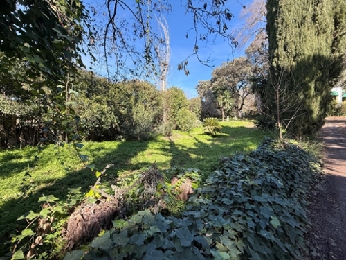 Villafranca De Córdoba Alto Guadalquivir Grundstück Bild 6344295