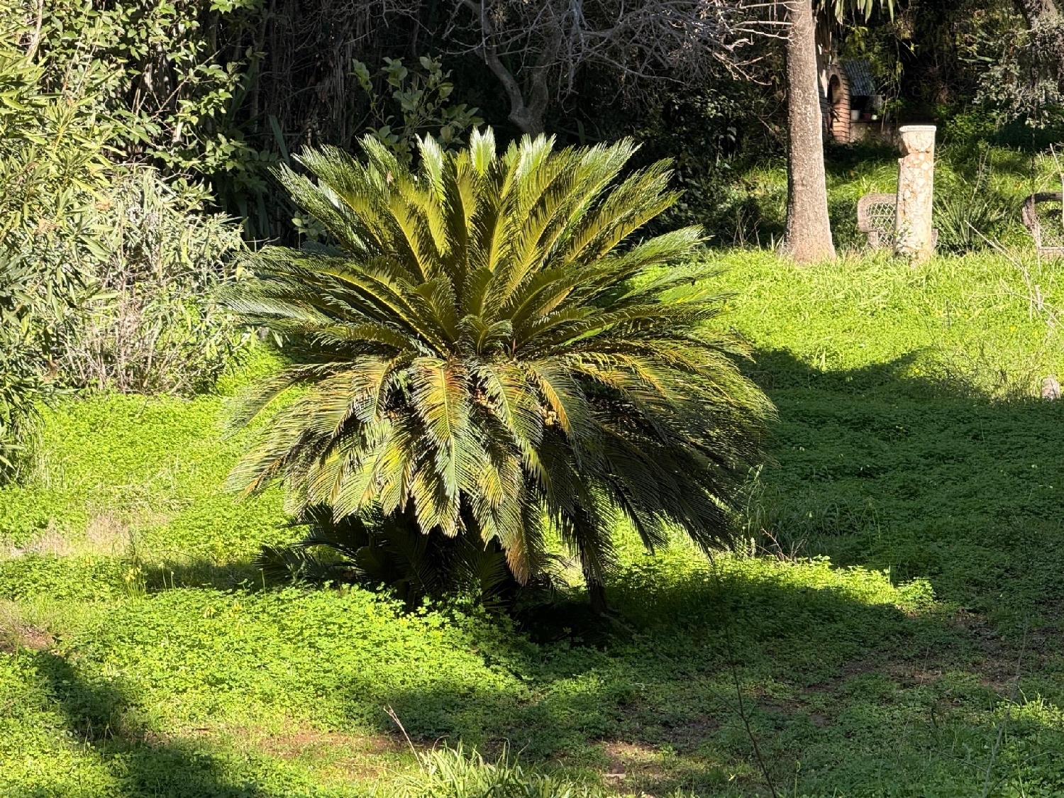  kaufen Grundstück Villafranca De Córdoba Alto Guadalquivir 8