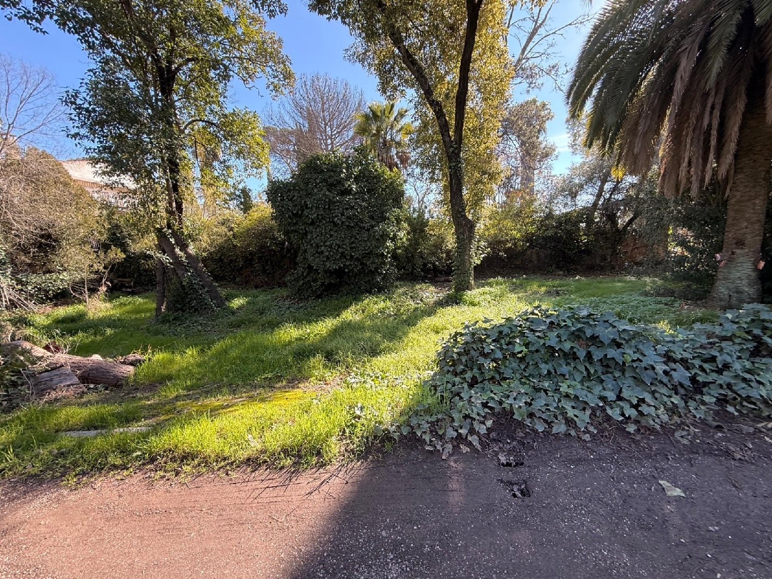  kaufen Grundstück Villafranca De Córdoba Alto Guadalquivir 4