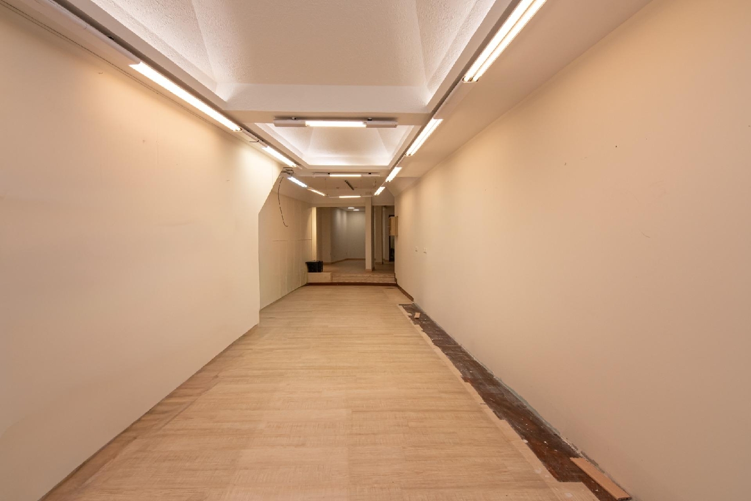  for sale commercial premise Agra De Ozán Coruña 4