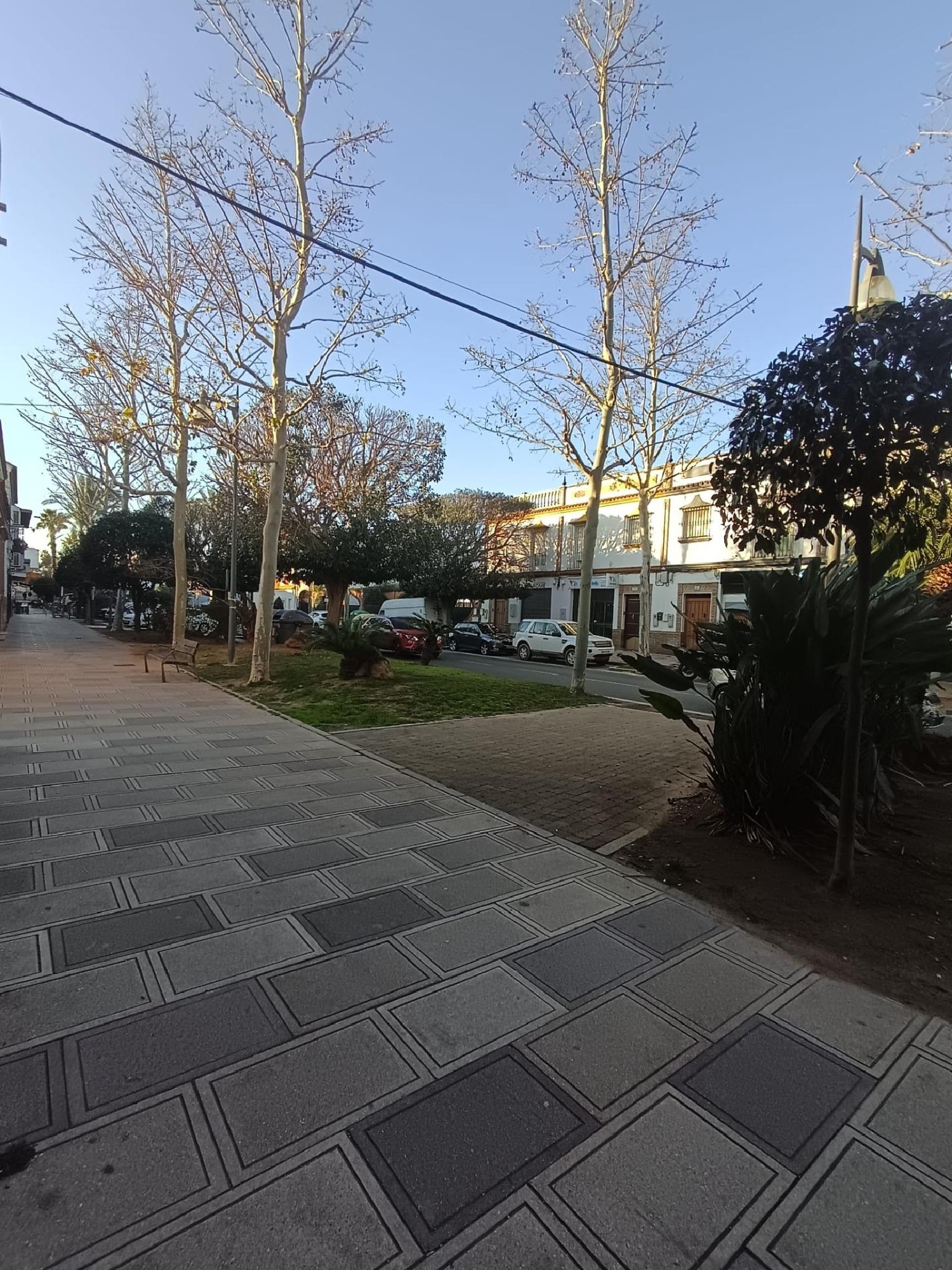  till salu lokal Alcalá De Guadaira Metropolitana De Sevilla 3