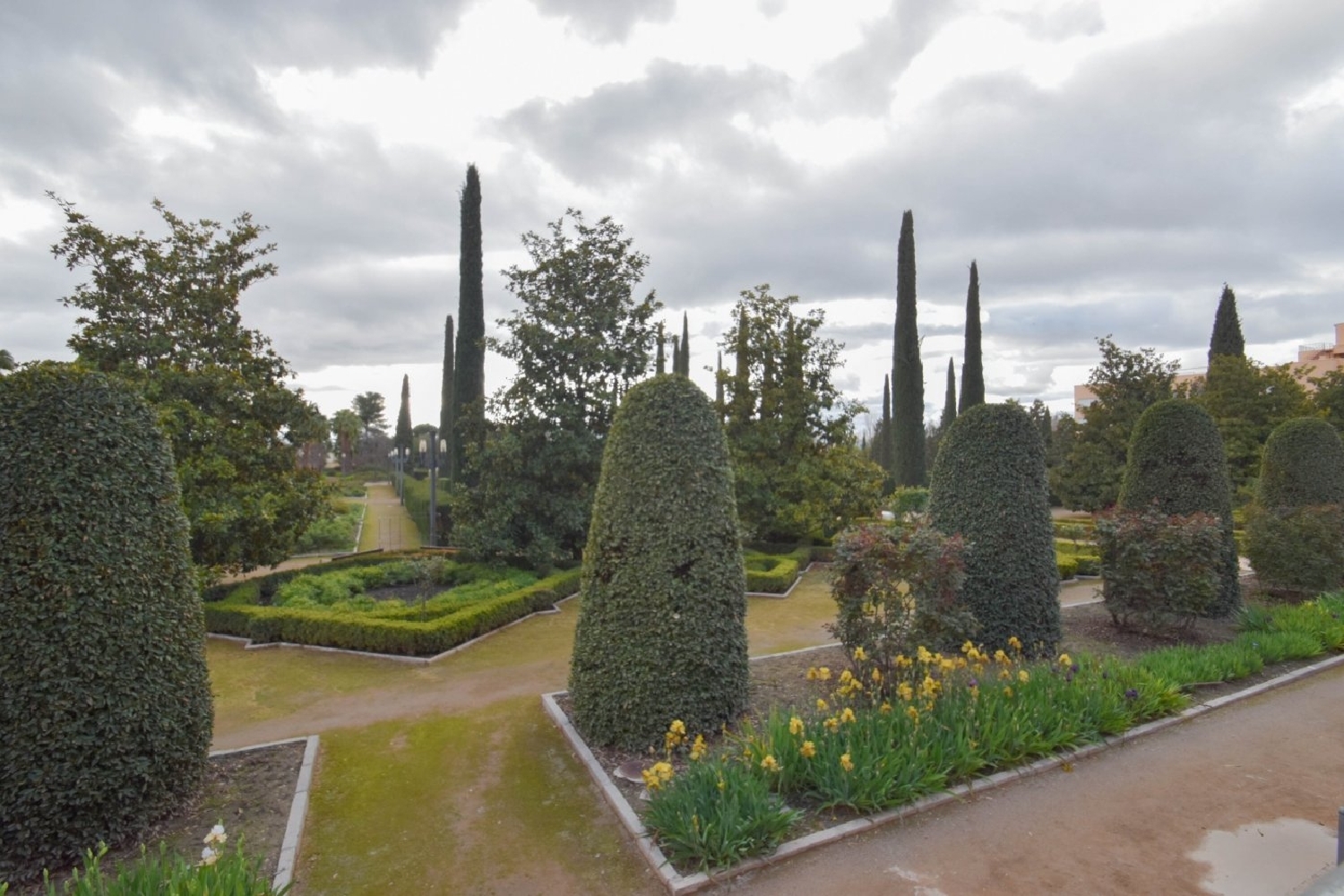  en venta local Barrio De Granada Alacantí 1