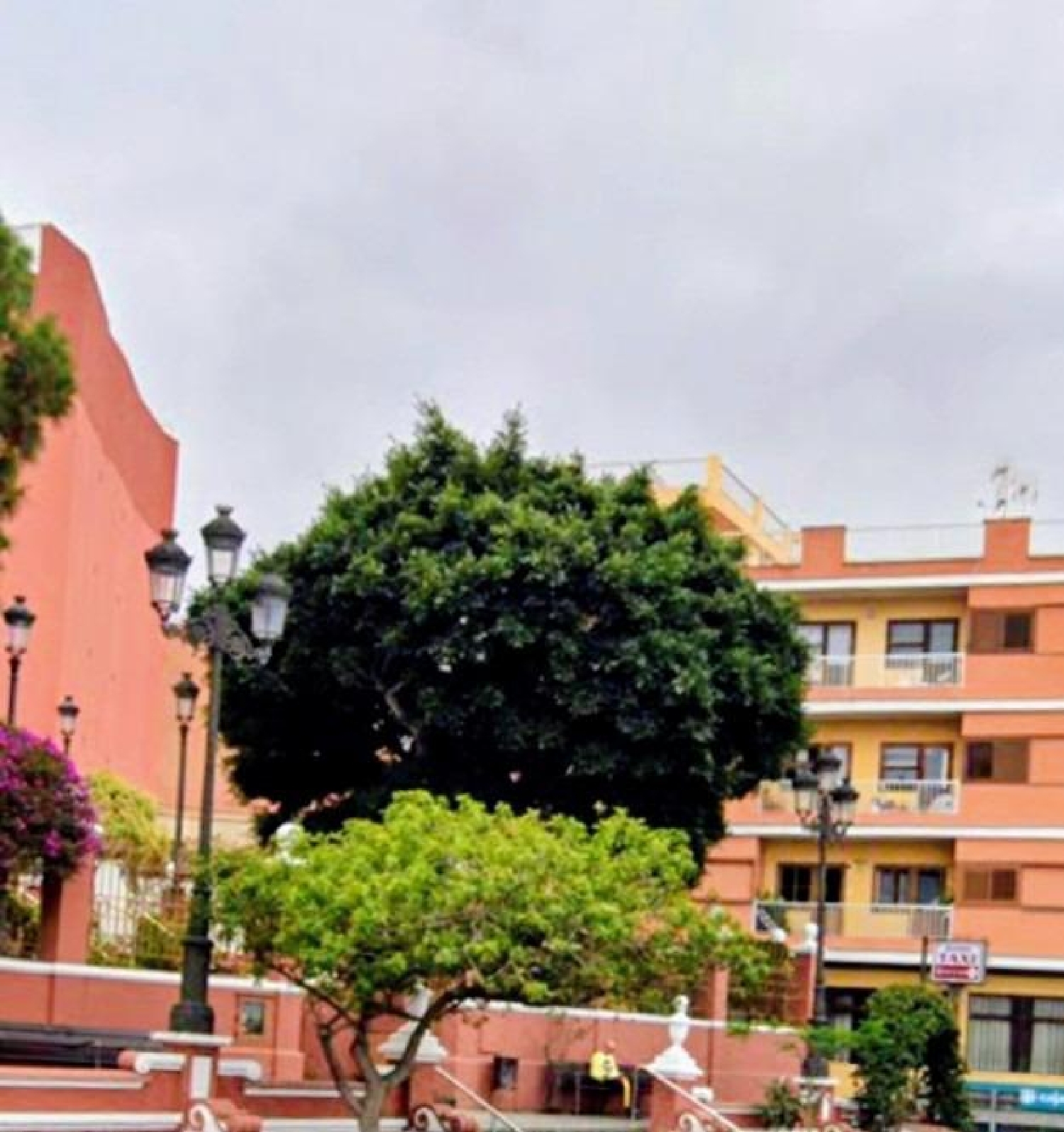  kaufen Gewerberaum Icod De Los Vinos Zona Norte 6