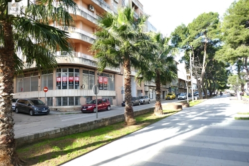 Inca Raiguer lokal foto 6350540