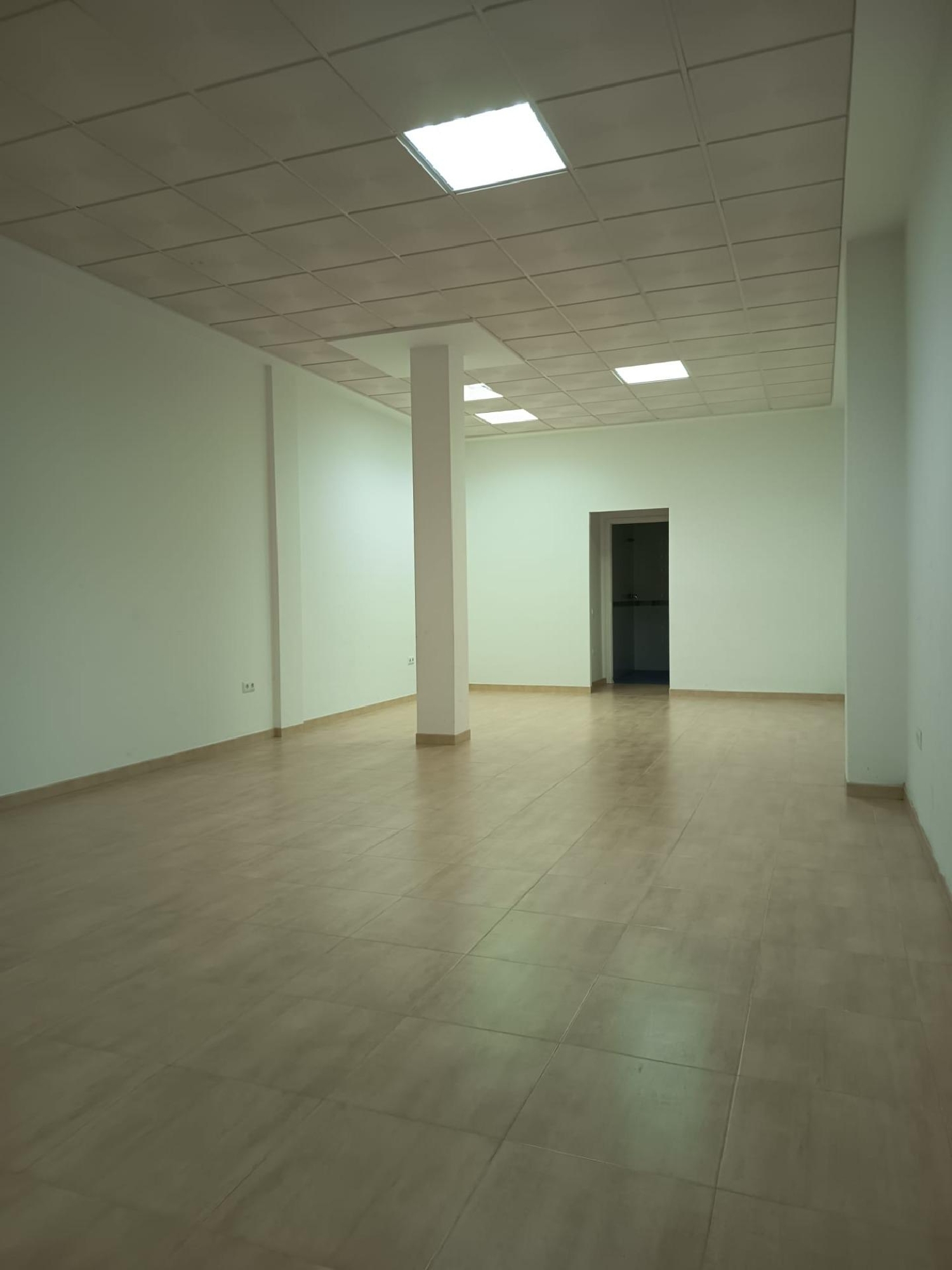 kaufen Gewerberaum Los Palacios Y Villafranca Bajo Guadalquivir 5