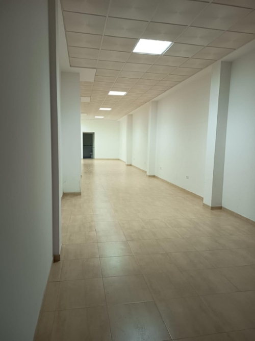 Los Palacios Y Villafranca Bajo Guadalquivir Gewerberaum Bild 6347145