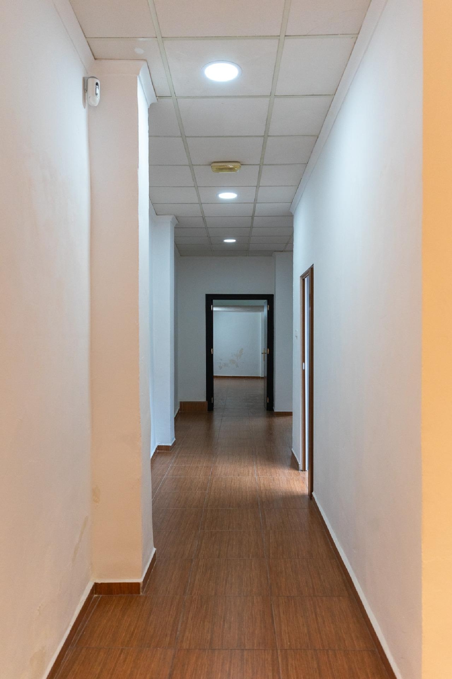  till salu lokal Molina De Segura Vega Media Del Segura 6