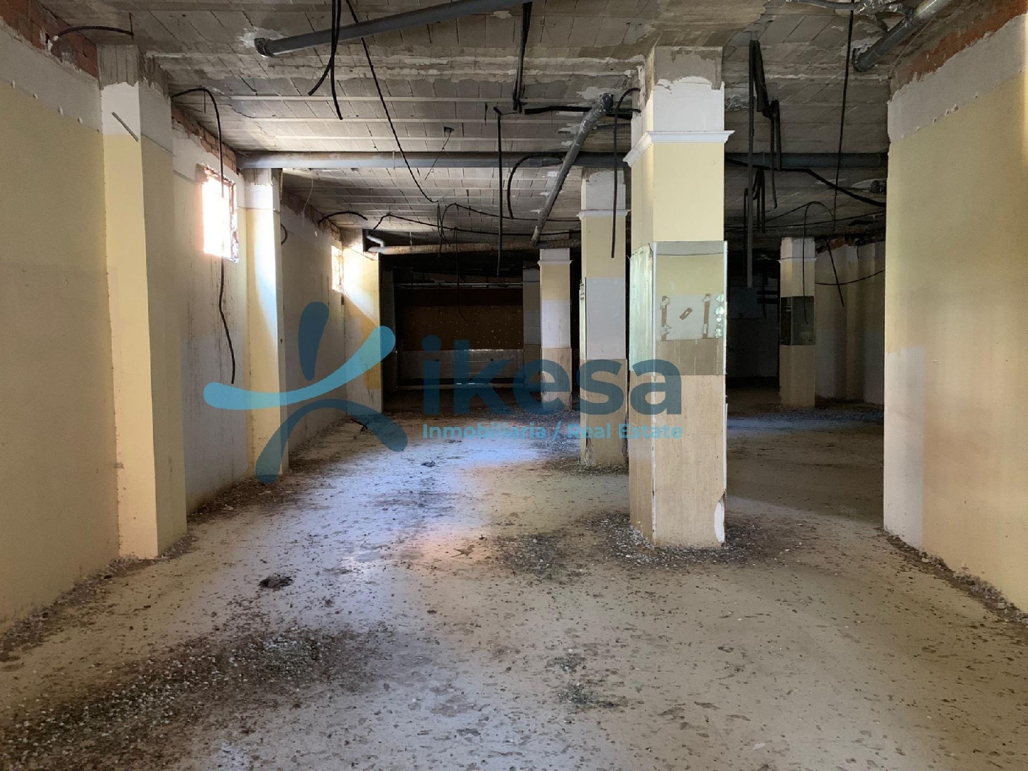 for sale commercial premise Palmeria Marina Alta 4