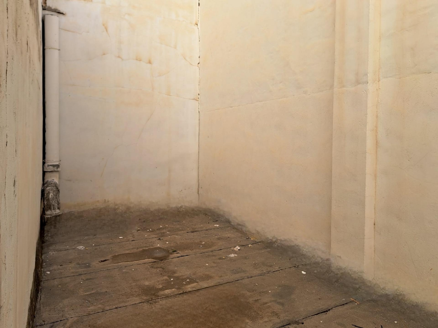  till salu lokal Tavernes De La Valldigna Safor 5