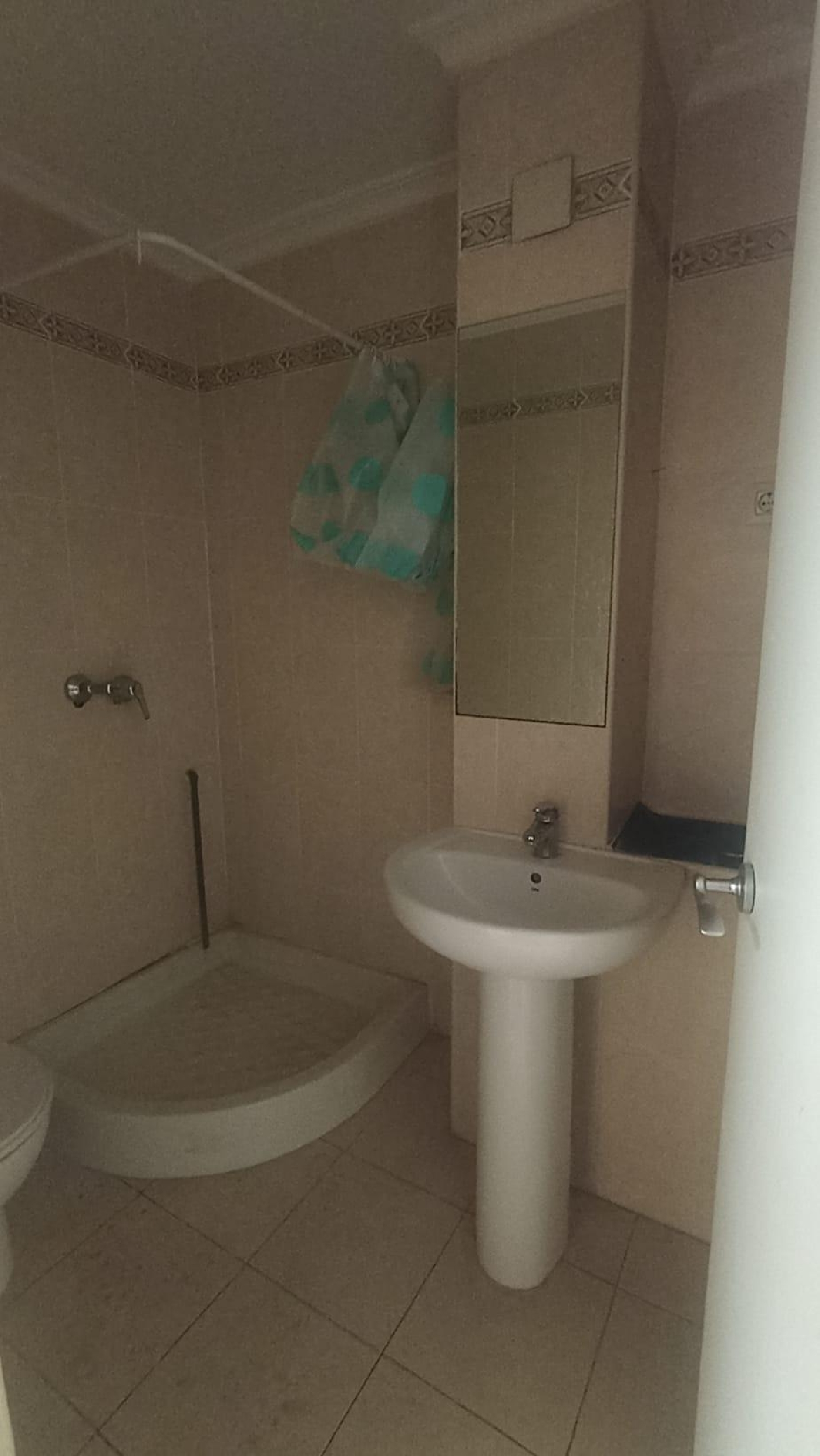  te koop bedrijfsruimte Valencia De Las Torres Campiña Sur 5