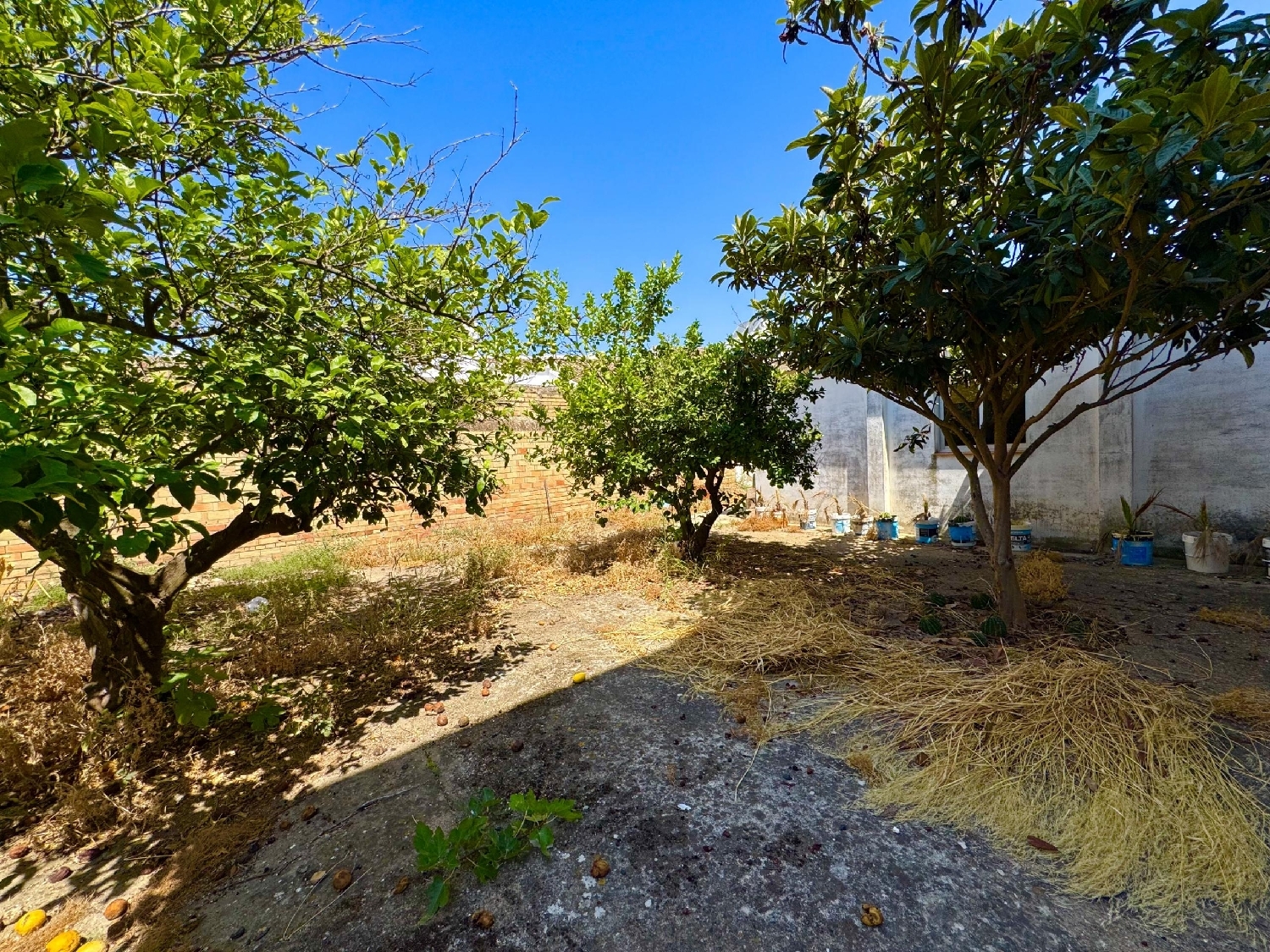  kaufen Doppelhaushälfte Olivares Aljarafe 8